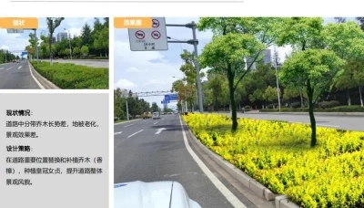 昆明这3条路要打造春城林荫大道！