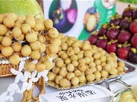 图集丨2021“泰国厨房迈向世界”美食节