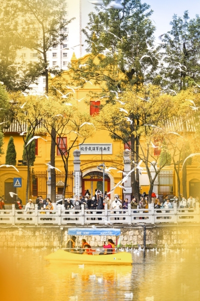 祖国好 家乡美 | 国庆假期，来打卡“大象天团”的“神仙”旅游线路？