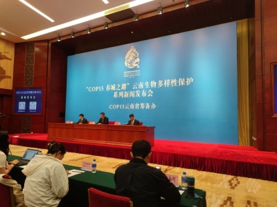 COP15大会召开倒计时30天 云南筹备工作从七个板块下足功夫