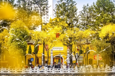 流金岁月，云南老式学堂你知道哪些？