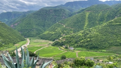 产业融合 水“稻”渠成丨楚雄州永仁县外普拉村的文旅农康探索之路