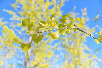 @老师们 教师节将至 请查收太平湖为你准备的优惠大礼包！