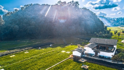 祖国好 家乡美丨玉溪市红塔区：当田园遇上咖啡，黄草坝新业态新玩法等你来解锁！