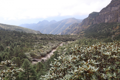 天然物种基因库：“滇中第一峰”轿子山的另一面