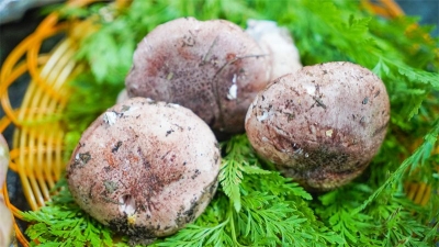 安宁这家神秘餐厅，吸引无数“昆虫”驱车前往……