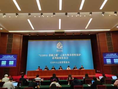 COP15春城之邀｜多部门联动 用法制为云南生物多样性保驾护航
