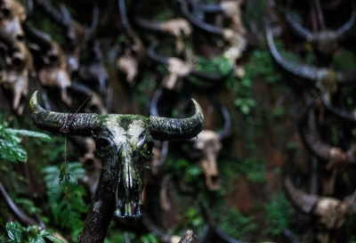 跟着《云南虫谷》走进神秘佤族村寨