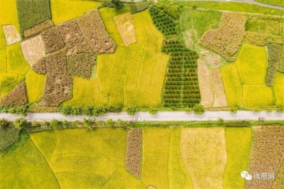 秋分 | 跟著時(shí)節(jié)游大理 蒼洱秋裝待客歸