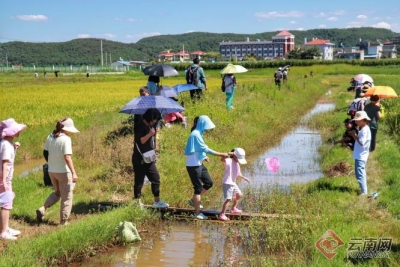 中秋小长假 云南掀起乡村旅游热