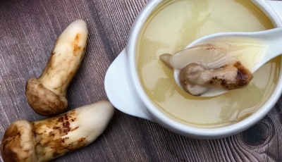 寻味香格里拉｜详解优选食材松茸的百变做法 
