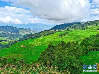 见山望水话乡韵 云岭山乡孕新机！云南乡村旅游市场欣欣向荣