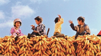 今日秋分，我想与你平分红河秋色！