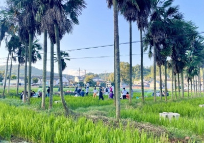 祖国好 家乡美丨玉溪市红塔区：当田园遇上咖啡，黄草坝新业态新玩法等你来解锁！