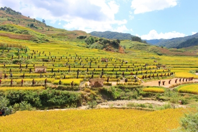 国庆就爱去玉溪丨庆丰收、享趣味！2021年哈尼族传统体育活动来啦！