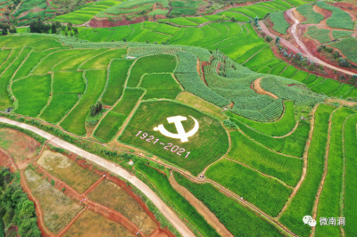 将特色农区与景点串珠成线，大理南涧宝华开启“旅游+农业”新篇章