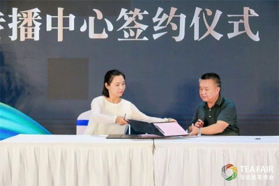 黄鹤楼下说普洱 普洱茶文化武汉传播中心启动