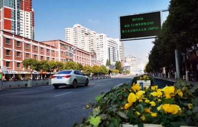 COP15筹备工作进入冲刺阶段！