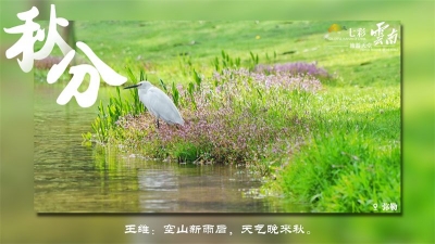 跟着节气游云南｜秋分话云南，丰年谷满仓！