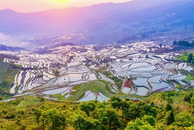 祖国好 家乡美 | 国庆假期，来打卡“大象天团”的“神仙”旅游线路？