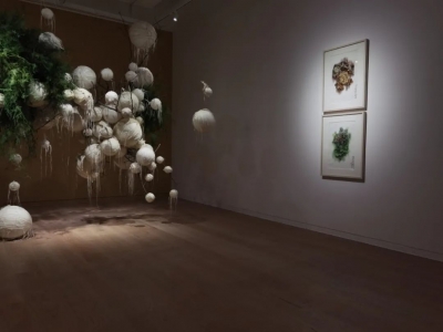 展讯 |  “一花一鸟一世界”曾孝濂新作展在昆明当代美术馆开展