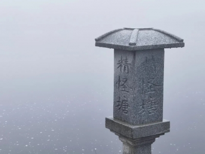 寻访“生命之花”丨大风大雨大雾大晴天，轿子山有精怪吗？
