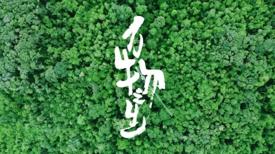 【COP15倒计时30天】国内首部8K生态人文纪录片《万物之生》先导片发布