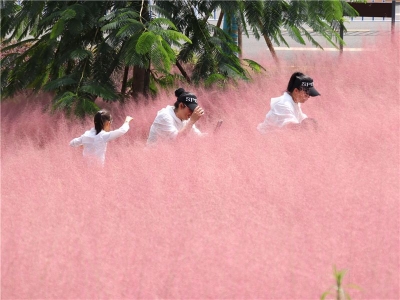 祖国好 家乡美 | 赏歌舞、品香茗、体验“长街宴”…… 国庆来蒙自碧色寨好吃好玩好在