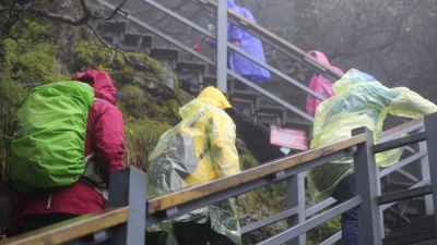 寻访“生命之花”丨大风大雨大雾大晴天，轿子山有精怪吗？
