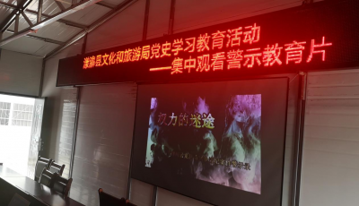 大理漾濞县文旅局集中观看警示教育片