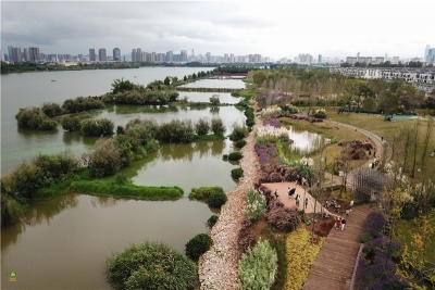 视频 | 中秋小长假 去草海隧道公园打卡
