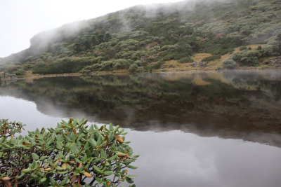 天然物种基因库：“滇中第一峰”轿子山的另一面