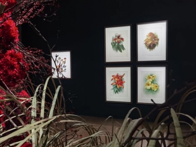 展讯 |  “一花一鸟一世界”曾孝濂新作展在昆明当代美术馆开展