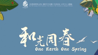 COP15主题曲及MV《和光同春》即将大美上线