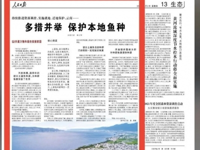 多措并举！保护土著鱼，云南这样做！