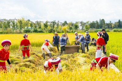 共享豐收喜悅 云糧2021年豐收節(jié)暨“綠色鄉(xiāng)愁·洱海留香”新品發(fā)布會(huì)舉辦