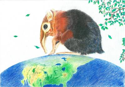 我是自然创想家|生物多样性大型雕塑主题彩绘公益活动优秀作品线上展·环保家系列（三）