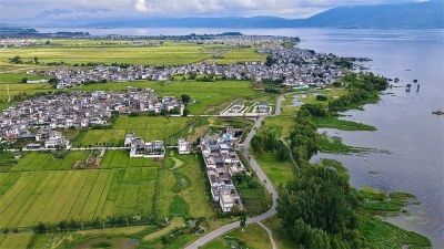 国庆去哪里？大理上关喊你来摸稻花鱼！