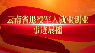 【云南省退役军人就业创业事迹展播】张亚