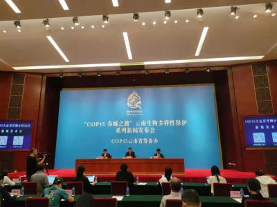 COP15大会召开倒计时30天 云南筹备工作从七个板块下足功夫