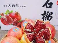 图集丨秋分至 丰收时