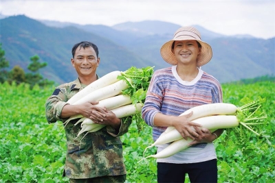图集丨秋分至 丰收时