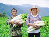 图集丨秋分至 丰收时