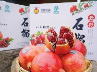 图集丨秋分至 丰收时