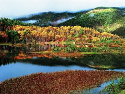  我在世界的香格里拉等您！来自迪庆州文化和旅游局的国庆出游提示请查收！
