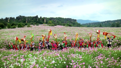 ​乃古石林“飞花令”已发出，波斯菊花海已就位，接令速来！