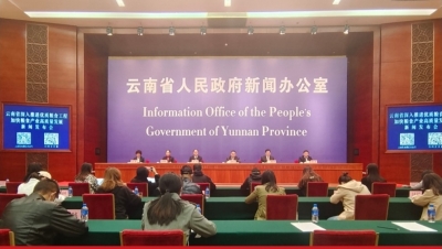 云南深入推进优质粮食工程  加快粮食产业高质量发展