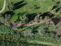 图集 | 逛宝丰湿地公园 观生物多样性