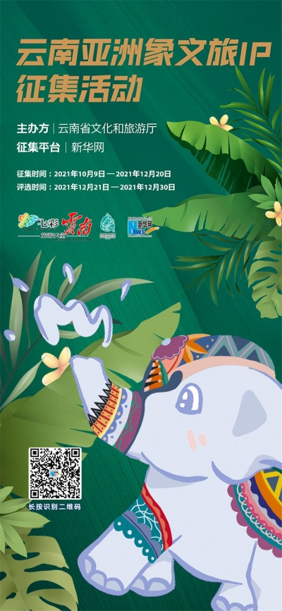 有奖征集丨云南亚洲象文旅IP征集活动正式启动啦