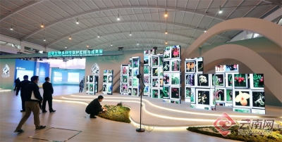【高清组图】云南生物多样性保护实践与成果展引关注